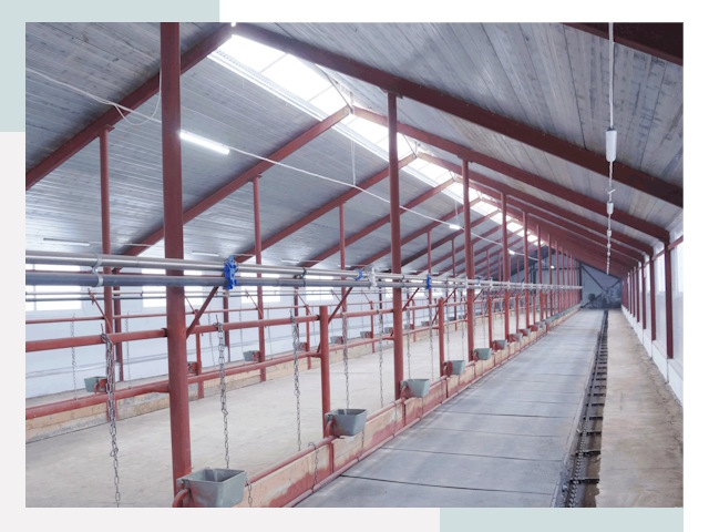 Строительство коровников в Железногорске от 620 руб.