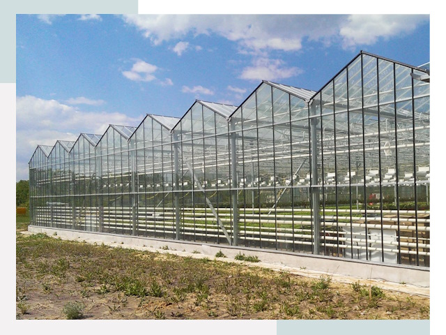 Строительство теплиц в Железногорск от 620 руб. за м²
