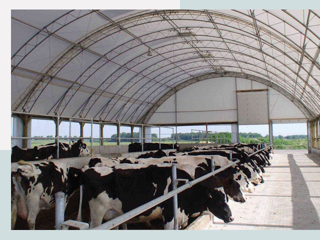 Тентовые коровники в Железногорске